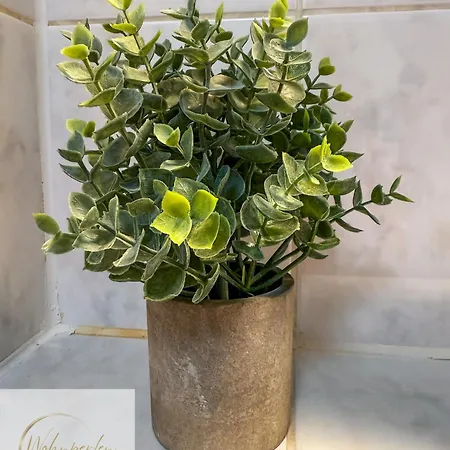 Apartment - Newtown - Balkon