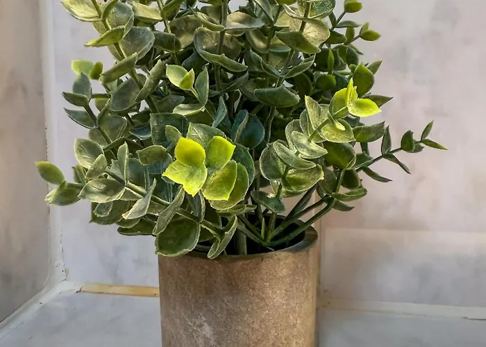 Lägenhet - Newtown - Balkon